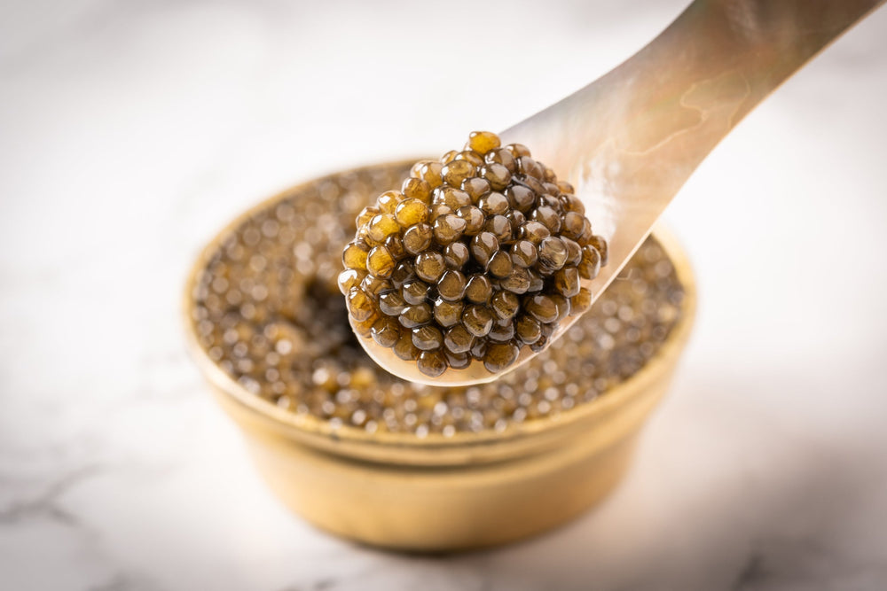 
                  
                    Doyy Caviar Duo | Caviar Royale & Beluga Royale - Doyy Caviar
                  
                