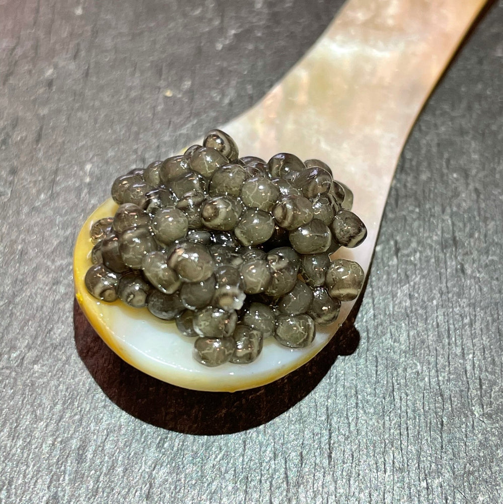 Doyy Caviar